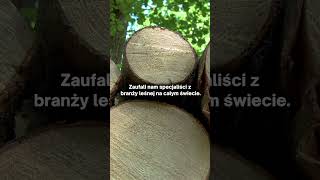 Przyspiesz wycinkę drewna z aplikacją Timberlog!