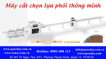 Máy cắt khuyết tật gỗ | Máy cắt chọn lựa phôi tự động - năng suất cao #SEMAC