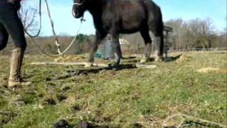 Methode La Cense Degré 2. Resimi