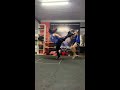 Chute Giratório para Muay Thai e KickBoxing - Impacto Team