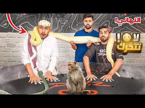 اخر شخص يشيل يده يفوز النهائي