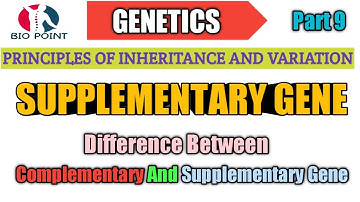 SUPPLEMENTARY GENE || PRINCIPLES OF INHERITANCE AND VARIATION || GENETICS || NEET || NCERT ||CBSE ||