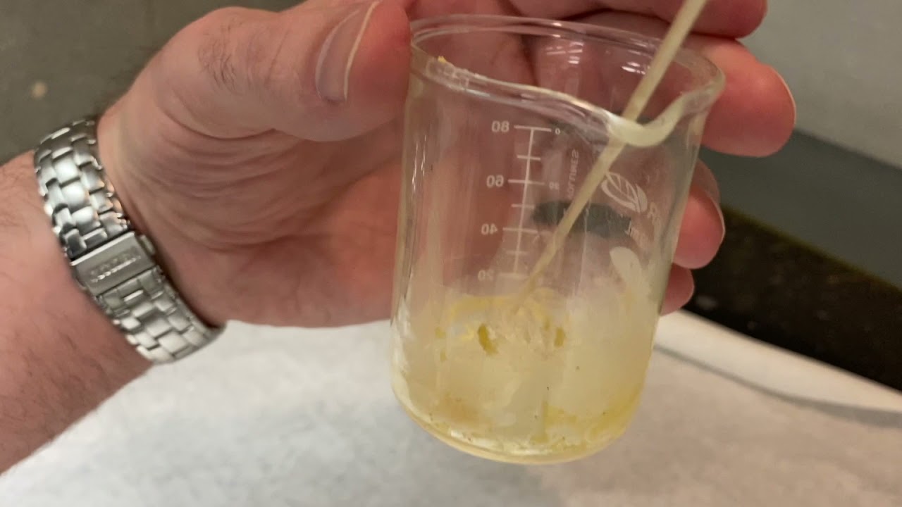 Trimyristin extraction from nutmeg YouTube