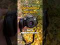 One Camera, One Shot | Minolta Dynax 60 (Part 2)