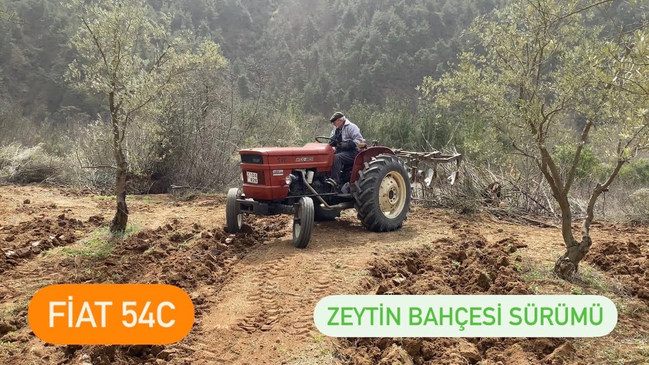 FİAT 54C Zeytin Bahçesi Sürümü (full orijinal)