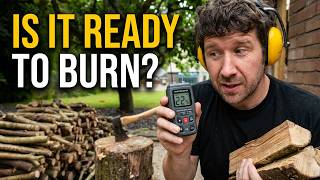 The Truth About FREE Firewood — Is It Worth It