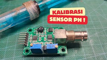 Sensor pH Arduino: Cara Kalibrasi Offset 2,5V 💧