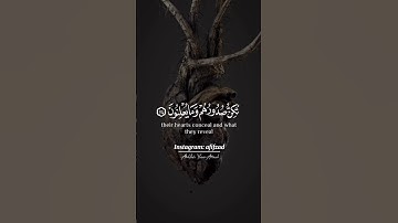 سورة النمل 🎬⛈️وَإِنَّ رَبَّكَ لَيَعْلَمُ مَا تُكِنُّ صُدُورُهُمْ وَمَايُعْلِنُونَ #jannah #muslim