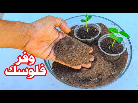 اخيرا بعد سنين عرفت ازاى الشركات الكبرى بتصنع تربة البيتموس اغلى تربة فى العالم وعملتها ببلاش