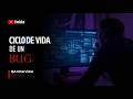 El Ciclo de Vida de un Bug | Pregunta 05/32 | QA Interview