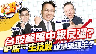 【股市雙響炮】台股醞釀中級反彈?IP股、生技股誰是領頭羊？「2022.10.31」