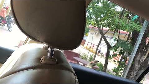 The bird wants to break the mirror #nature #birds 