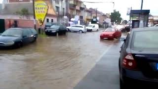 Borča Ulica Valjevskog Odreda