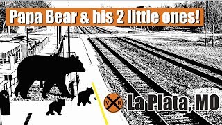 PAPA BEAR AND HIS 2 LITTLE ONES ENJOY A TRAIN!  LA PLATA, MO