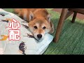 闘病中の再燃が怖いです