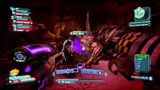 Borderlands 2: Killing Dukinos Mom [HD] coop