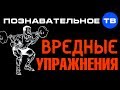 Вредные упражнения (Познавательное ТВ, Герман Тюхтин)