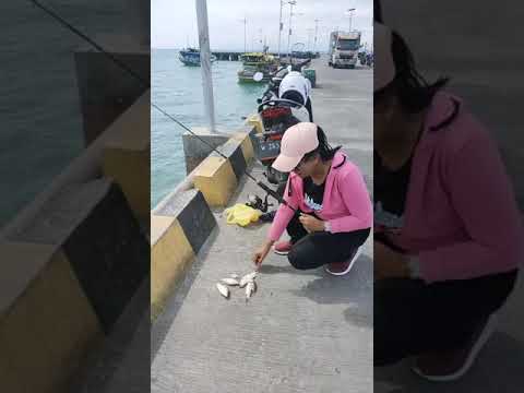 Strike diatas boat kecil🐬fishing mania🐬mancing ambyar🐬fishing strike #fishing#mancing#shorts