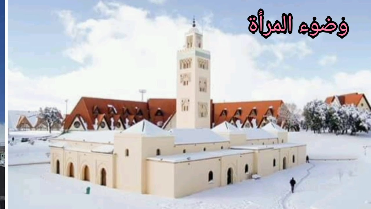 وضوء المرأة - علي بازين