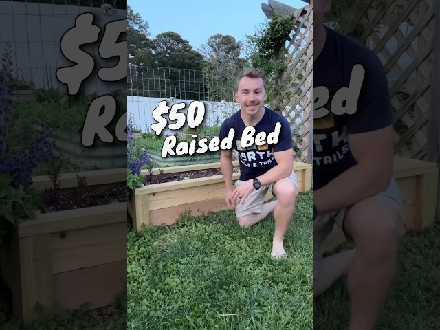 Simple DIY Raised Beds: Effortless Garden! 3 sddefault