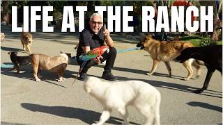 A Brand New Puppy's First Day at the Ranch! | Life at the Ranch Ep. 2
