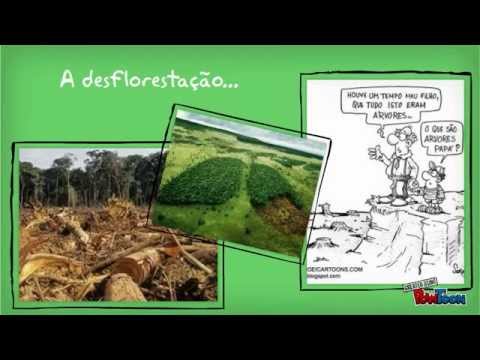 Perda de Biodiversidade