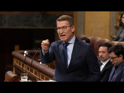 Feijóo, en el debate de la amnistía: 