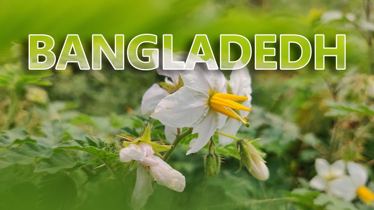 Nature is amazing - Relaxing | Walking On The Planet