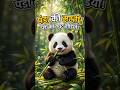 पंडा की मस्ती 🤣चीन मे पाया जाता है #shorts #youtubeshorts #viral