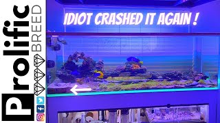 HOW I  CRASHED MY MIXED REEF TANK