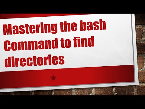 Mastering the `bash` Command to `find directories`