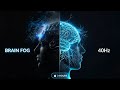 Brain Fog Destroyer | 40Hz Gamma Beats for 3 Hours of Pure Focus