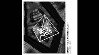 Spektre & Marie Vaunt - Darkest Hour