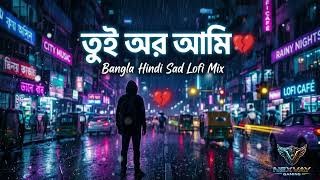 Bangla Hindi Mix Lofi Song Tui Ar Ami
