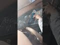 نازدار نازدار دکه نازی ب هر دوکچاوی بازی بوی دنمه دی راضو نیازی نازدار نازدار دکه نازی ب هر دوکچاوی بازی بوی دنمه دی راضو نیازی