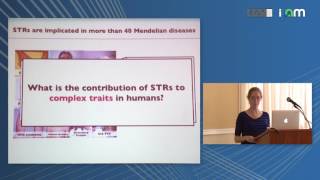 Melissa Gymrek: "Analyzing complex repeat variation from high throughput sequencing data"