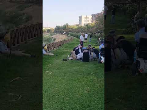 EDİP ATAÇ CİZRE