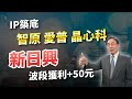 吳凡【股期來點名】20240604 小心回檔! 專注操盤 新日興+50元 波段獲利 IP築底 智原 愛普 晶心科