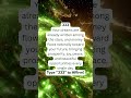 The hidden meaning of Angel number 333 #abundance
