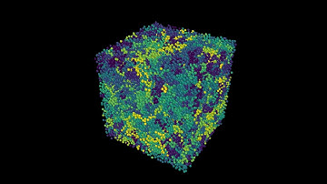 Simulation of Large Group of Polymers