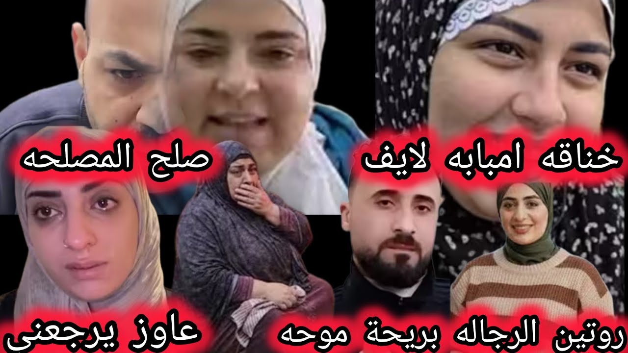 صلح المصالح صدفه ومحمد لموا الفضايح🎯روتين الرجاله وكذب سحوره وخطط موحه🎯زيزي لتارق شايف نفسه عليه