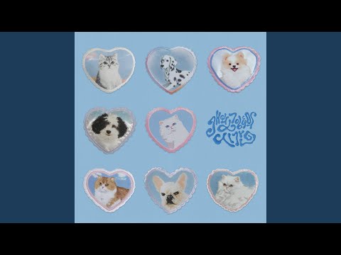 개와 고양이의 시간 - 조유리