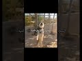 خره عليك وعل مدرسه مميز العراق ضحك شعب الصيني ماله حل مالي خلق احط هاشتاقات  تحشيش فيديو