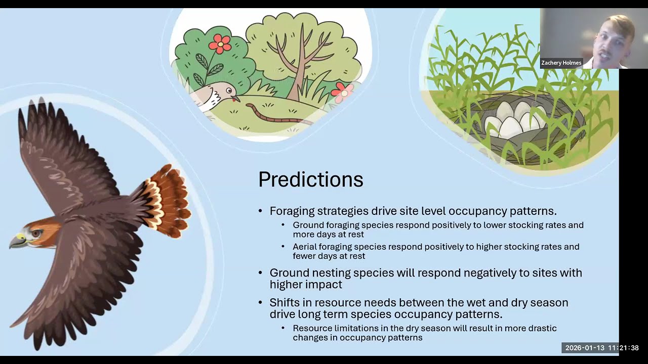 Стратегии управления скотом, растительная неоднородность и заселенность луговых птиц.
