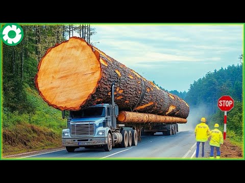Extremely Dangerous Monster Wood Truck Driving Skill | Biggest Heavy Machinery Machines - The Engine