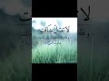 يارب الفرج