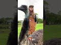 Hey It S Emmanuel Part 2 RxCKSTxR Comedy Voiceovers Hey It S Emmanuel Part 2 RxCKSTxR Comedy Voiceovers