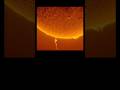Massive Solar flare 😳 #shorts #solar #facts #unknownfacts