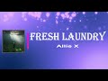 Allie X Fresh Laundry Lyrics mp3
