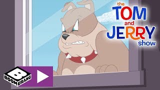 Tom & Jerry Spike Blir Sint Boomerang Norge